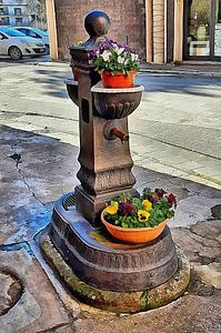 Wasserfontäne mit Stiefmütterchen 1