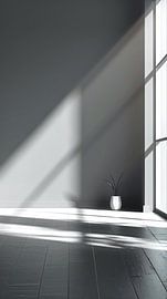 Rayons de soleil noirs et blancs