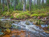 Rocks, Green Nature & Flowing River Real Tranquillity Given