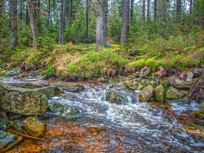 Rocks, Green Nature &amp; Flowing River Real Tranquillity Given by Nature Life Ambience