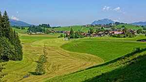 Allgäuer Sommeridylle - Variante