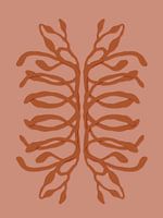 Backbone, pink