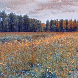 Prairie fleurie sur Paul de Vos