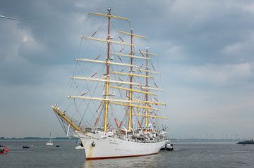 Dar Mlodziezy DelfSail 2024 by Jan Georg Meijer