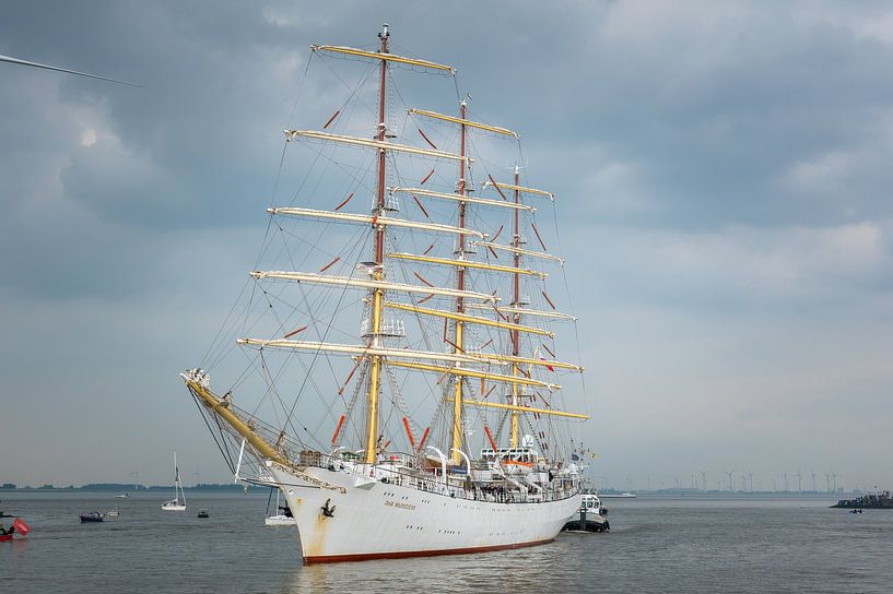 Dar Mlodziezy DelfSail 2024 von Jan Georg Meijer