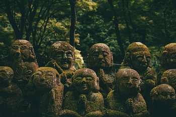 Buddha statues in the forest in Japan