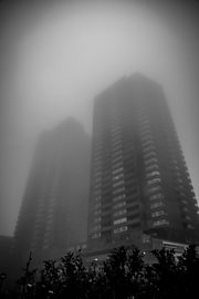 Misty Morning by SVPhotography