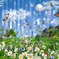 Flower field in spring, butterflies and zebras