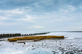 Moddergat by J.P. Zwart