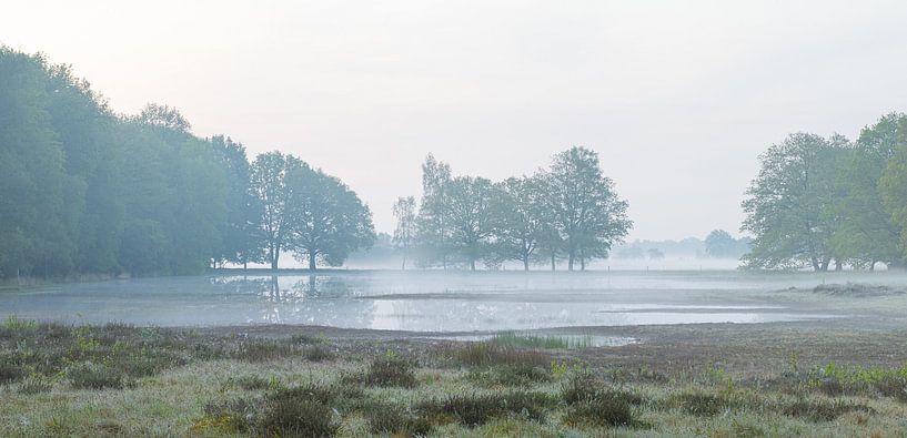 Sunrise Dwingelderveld (Netherlands) by Marcel Kerdijk