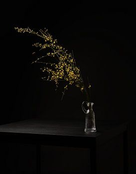 Bumblebee - een bij vliegend naar een tak met gele bloemen