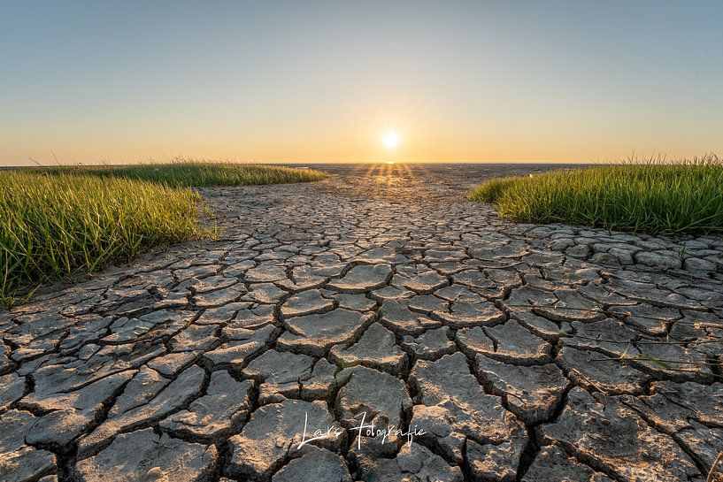 De Friese waddenkust van lars Bosch