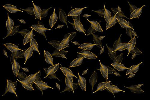 blaadjes geven licht III