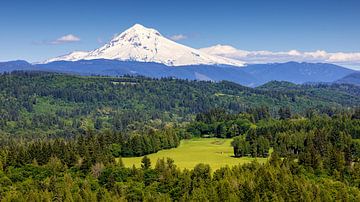 Mt Hood panorama, Oregon, Verenigde Staten van Adelheid Smitt