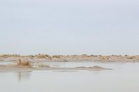 Plaine côtière silencieuse avec des flaques d'eau à Terschelling