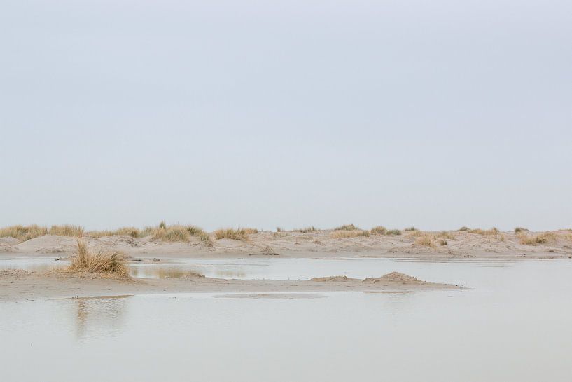 Plaine côtière silencieuse avec des flaques d'eau à Terschelling par Marjan Schmit Visser