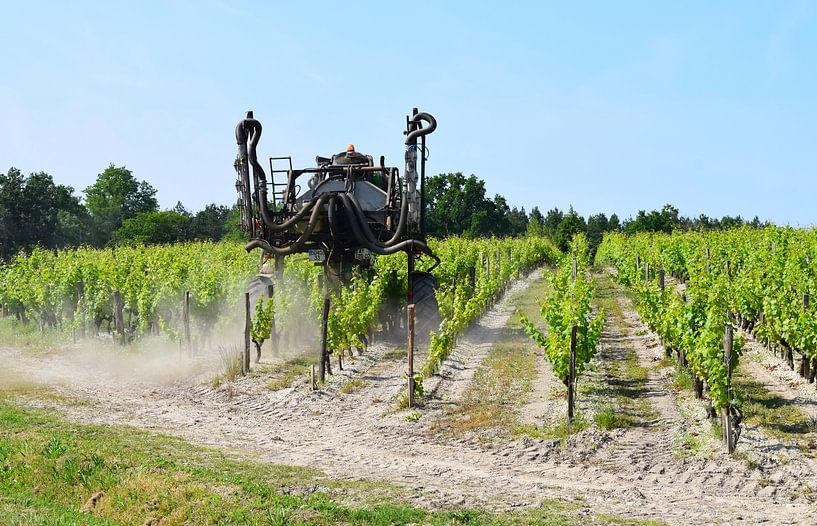 Machine creëert stof tijdens het trimmen van de wijnranken op de Franse wijngaard van Studio LE-gals
