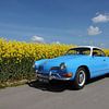 Volkswagen Karmann Ghia Blauwwit van Marianne van den Bogaerdt