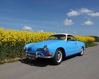 Volkswagen Karmann Ghia Blue-white
