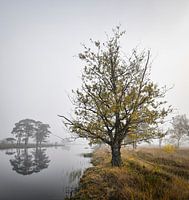 Herbstliches Ambiente