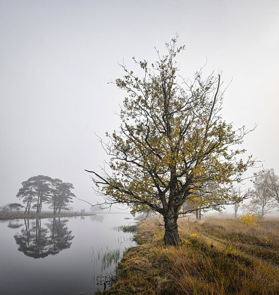 Ambiance automnale par Waldo Kersten