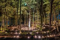 Das große Leuchten im Park Zypendaal in Arnheim von Jeroen de Jongh Miniaturansicht