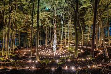 Das große Leuchten im Park Zypendaal in Arnheim