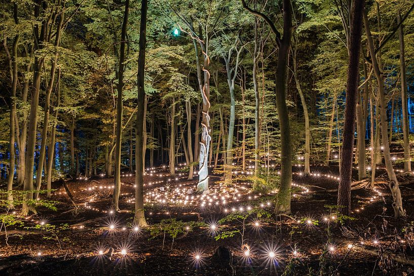 Das große Leuchten im Park Zypendaal in Arnheim von Jeroen de Jongh