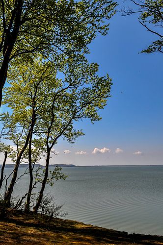 Sur la haute côte près de Lietzow, le grand Jasmund Bodden