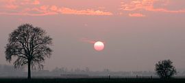 Zonsondergang Westmaas