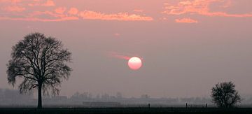 Zonsondergang Westmaas van Roel Dijkstra
