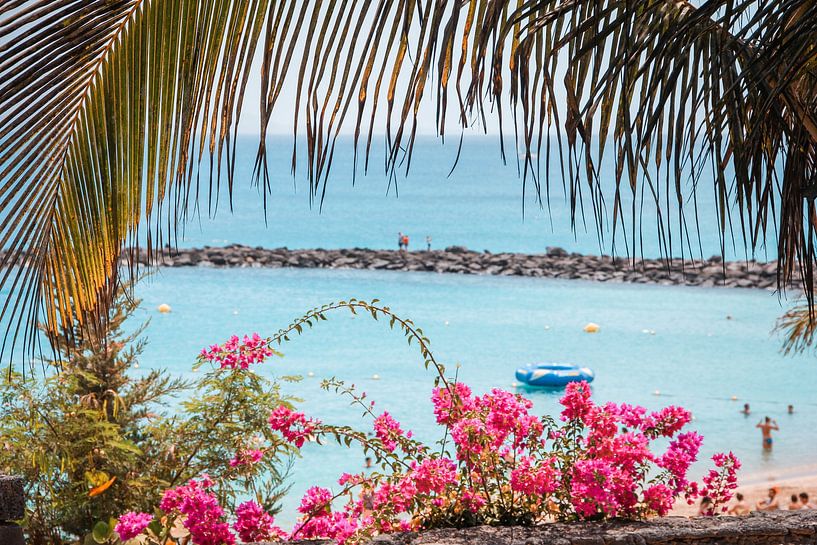Lanzarote, the hidden beauty by Chantal Goos