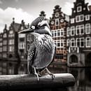 Vogel in Amsterdam van Thilo Wagner thumbnail