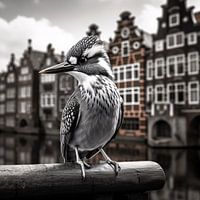 Vogel in Amsterdam