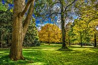 Herfst in het Rengerspark van Harrie Muis thumbnail