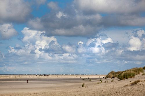 Strand op Terschelling