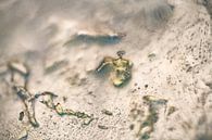Aarde | Zand | Abstracte Foto | Fine Art van Nanda Bussers thumbnail
