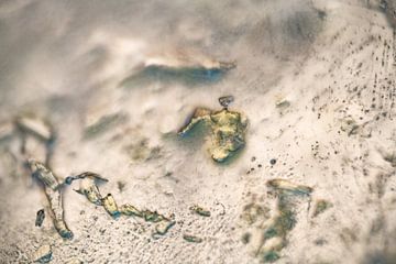 Aarde | Zand | Abstracte Foto | Fine Art van Nanda Bussers