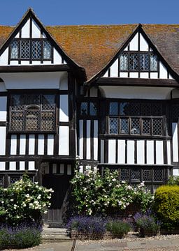 Two old English half-timbered houses by M. Wessels