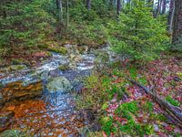Fließender Fluss zwischen Felsen und Bäumen