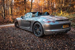 Porsche Boxster GTS Typ 981