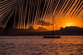 Sonnenuntergang Tahiti von Ralf van de Veerdonk