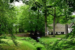 Blick auf eine Wassermühle