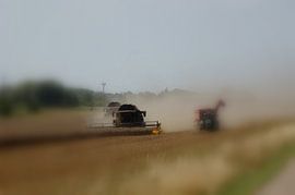 Ernte Einsatz von KLaas Hartz
