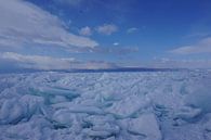 Winter aan het Baikal meer van Jildau Schotanus thumbnail