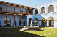 Koloniaal binnenplaatsje in La Antigua, Guatemala. van Michiel Dros thumbnail