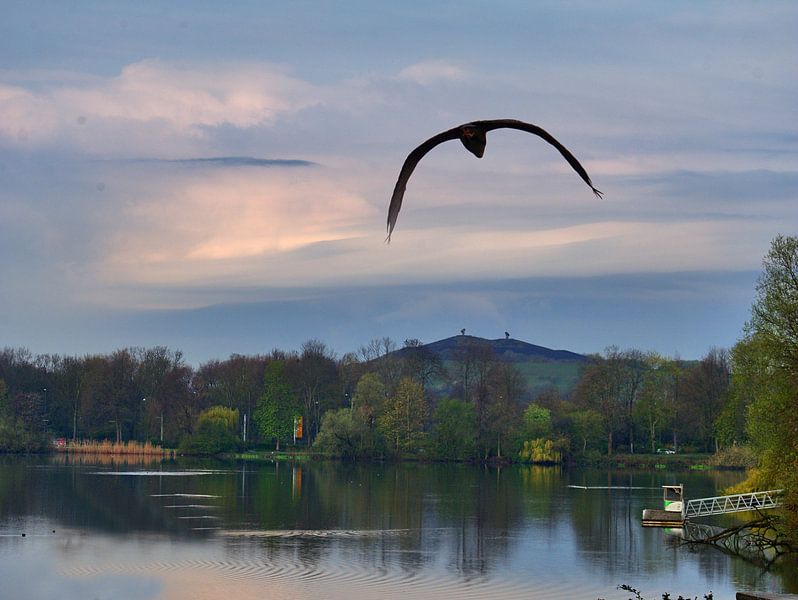 Vol du héron par Edgar Schermaul