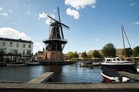Port de Haarlem par Freddie de Roeck Aperçu