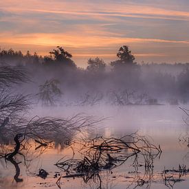 before sunrise von Hilde Van Hove