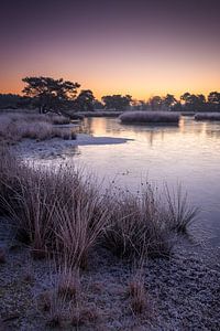 Vor Sonnenaufgang, Rob Christiaan